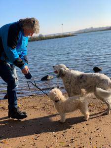 Heerlijk aan het water met de honden